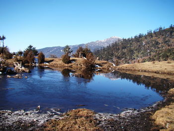 Scenic view of trees and mountains against clear blue sky