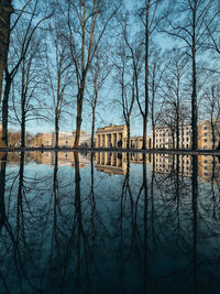 Bare trees by lake against sky