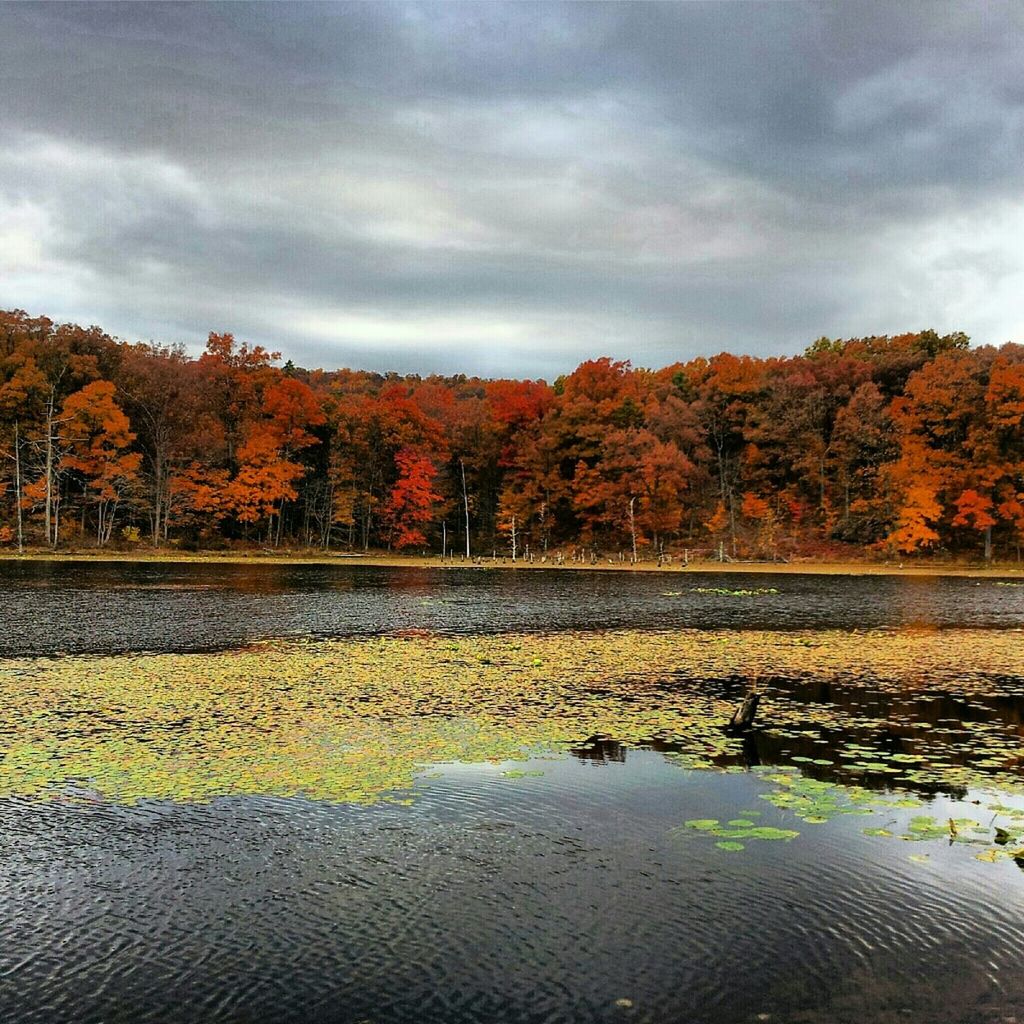 Sleepy Creek, WV