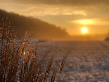 Close-up of snow against sky during sunset