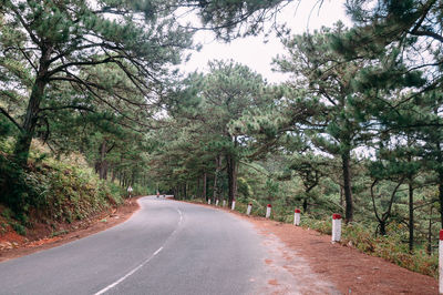 Empty road amidst trees in forest