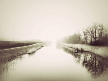 Bare trees on landscape against clear sky