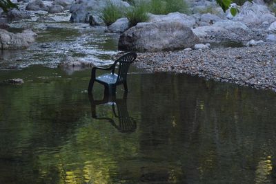 Chair in creek