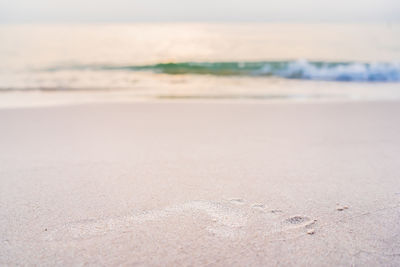 Surface level of beach against sky