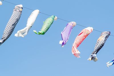 Low angle view of fish hanging against blue sky