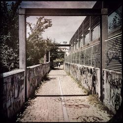 Narrow walkway along trees