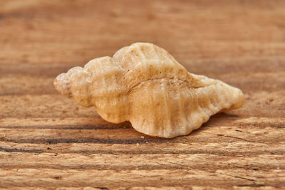 Close-up of bread on wood