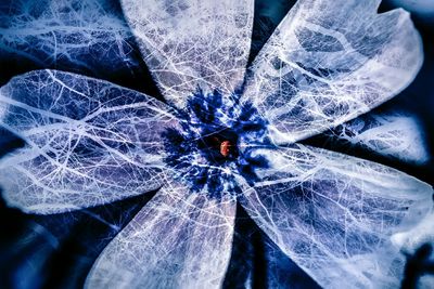 Full frame shot of fabric