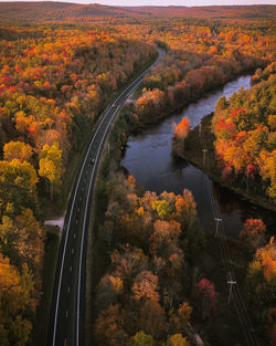 High angle view of road amidst trees during autumn