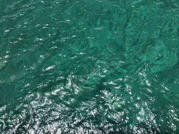 High angle view of swimming pool