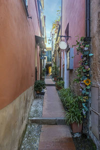 Narrow alley amidst buildings in city