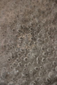 Full frame shot of water