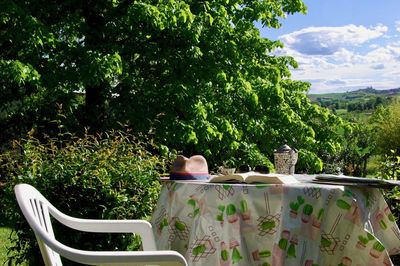 View of potted plants on table in yard