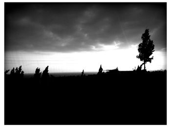 Silhouette of tree against cloudy sky