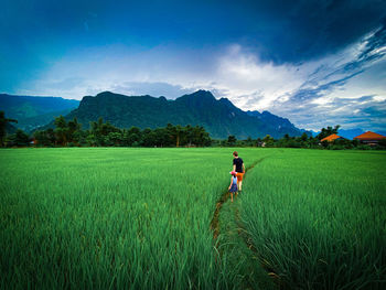 landscape