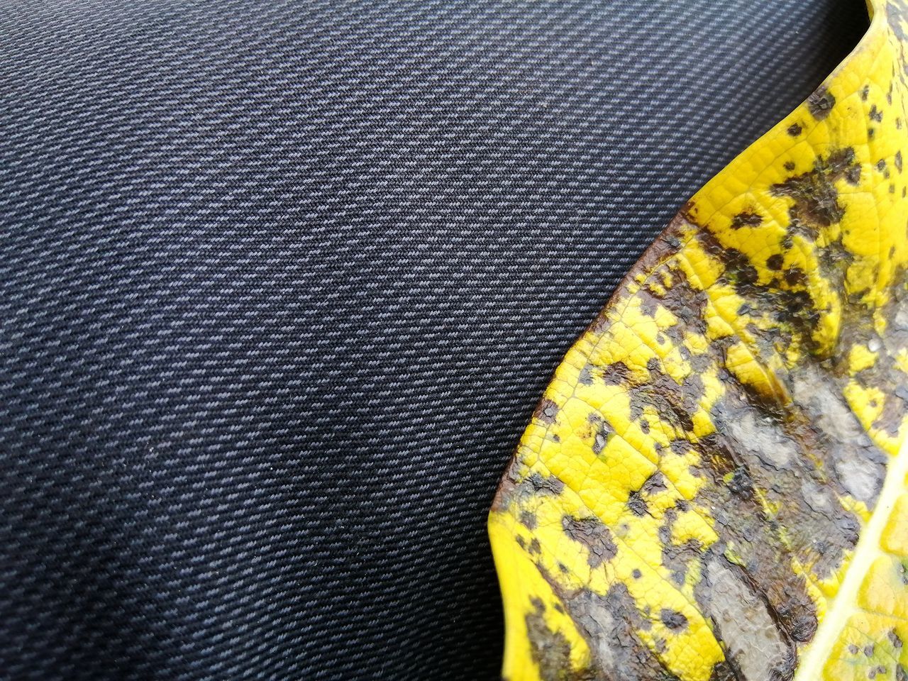 HIGH ANGLE VIEW OF YELLOW SOFA ON FLOOR