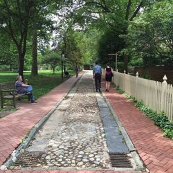 Rear view of people walking on road amidst trees