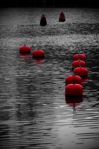 Reflection of trees in water