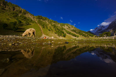 Scenic view of lake by mountains against blue sky