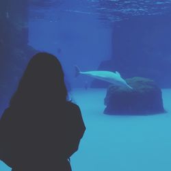 Silhouette of fish swimming in sea