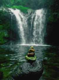 Scenic view of waterfall in forest