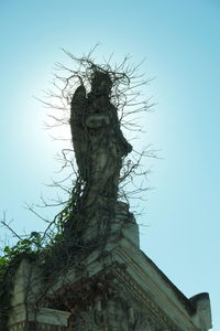 Low angle view of tree against clear sky
