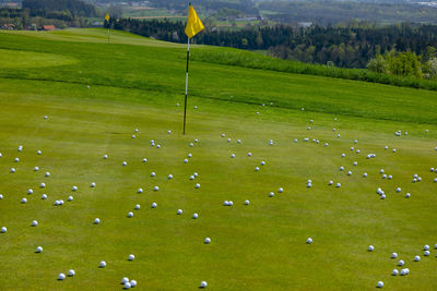 Scenic view of golf course