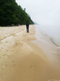 Rear view of man walking on beach