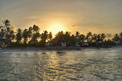 Scenic view of palm trees and building against sky during sunset