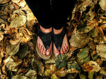 Low section of woman standing on dry leaves
