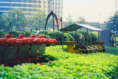 Vegetables on field against plants