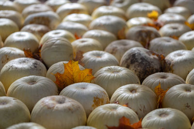 Full frame shot of white pumpkins for sale at market stall
