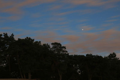 Low angle view of silhouette trees against sky at sunset