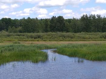Scenic view of lake against sky