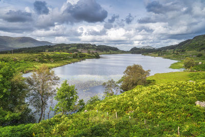 Beautiful lake, looscaunagh lough, surrounded by green ferns and hills, ring of kerry, ireland