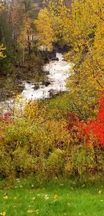 Scenic view of lake amidst trees during autumn
