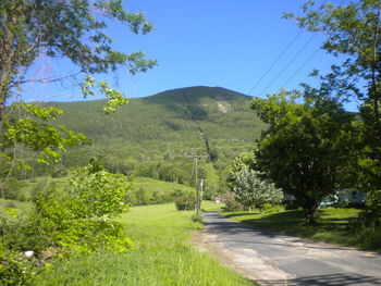 Scenic view of landscape against clear blue sky