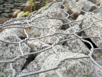 Close-up of rocks on field