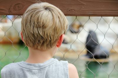 Rear view of boy looking through fence