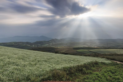 Sun shining through clouds over grassy landscape