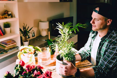 Young man while taking care of small kentia plant on rustic wooden table