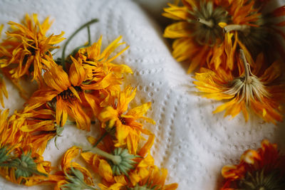 Close-up of marigold flowers on tissue paper