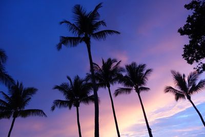 Low angle view of palm trees against sky