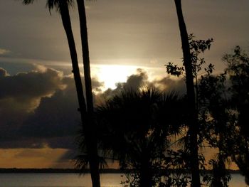 Silhouette palm trees on beach against sky during sunset