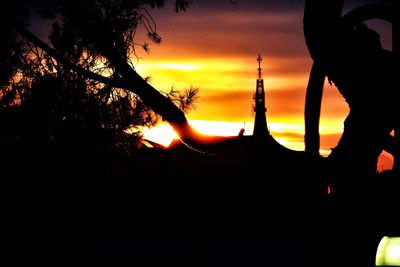 Silhouette of trees during sunset