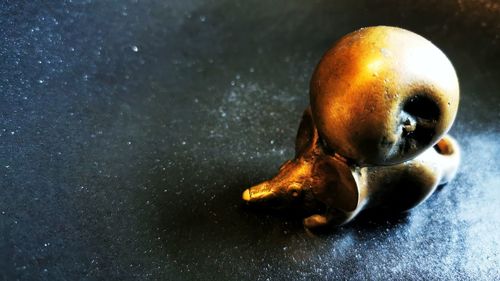 Close-up of wet apple on table