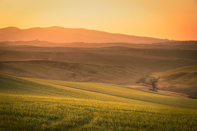 Scenic view of field against sky during sunset