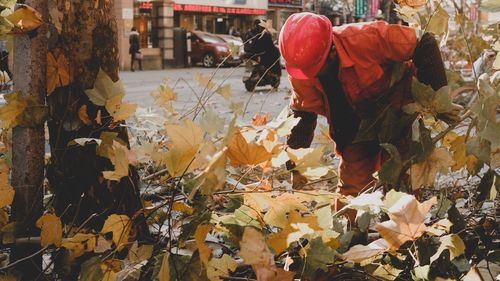 Close-up of flowers on tree during autumn
