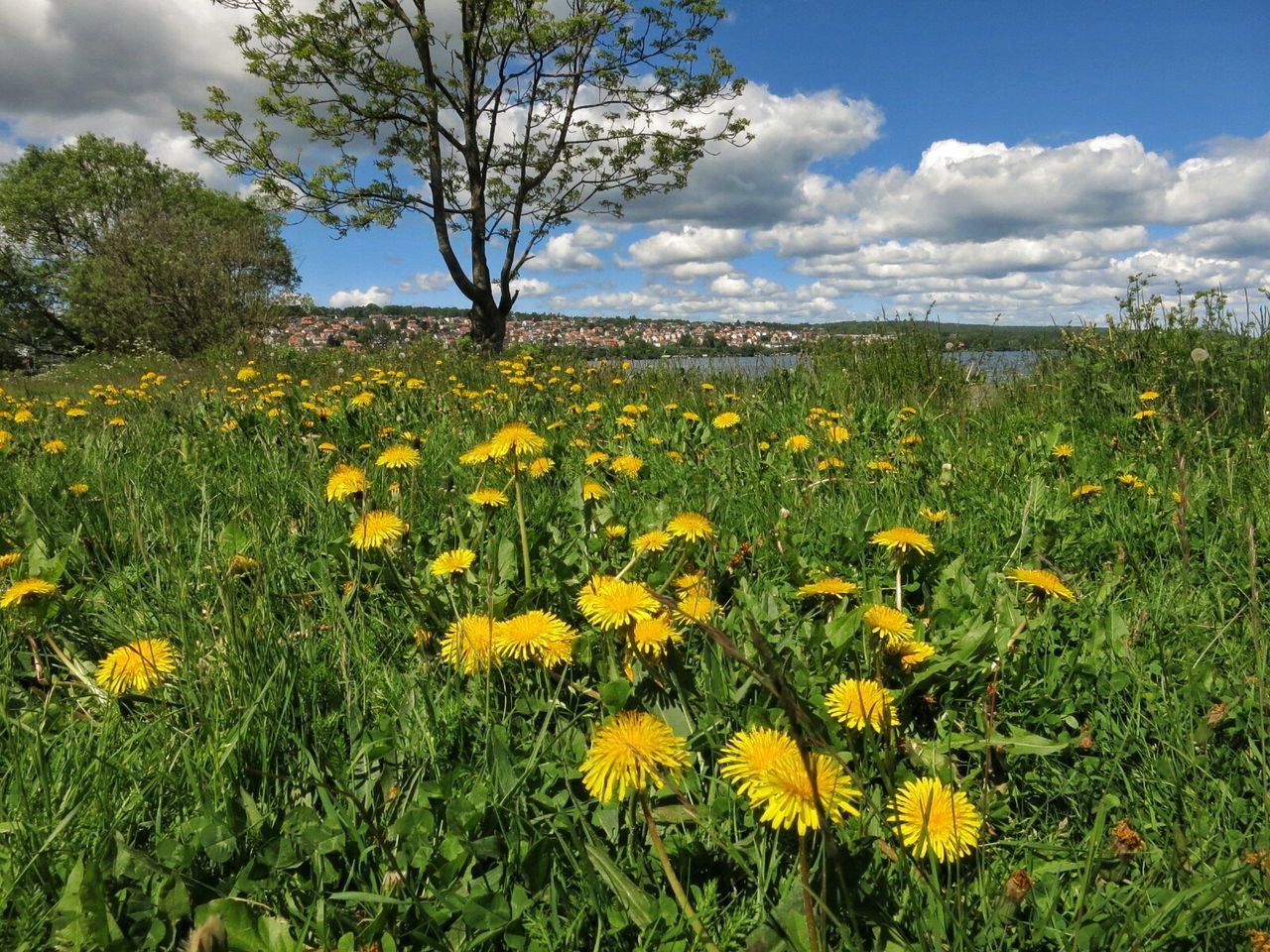 Vättern