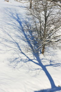 Close-up of snow covered landscape